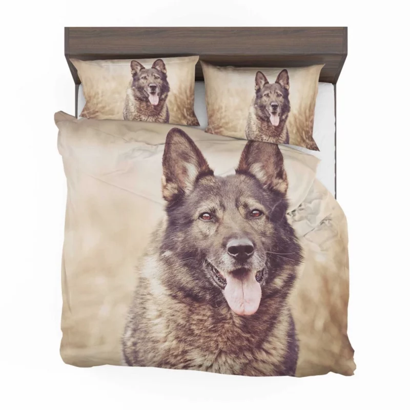 Wolfdog Loyal Stance Canine Companion Bedding Set 1