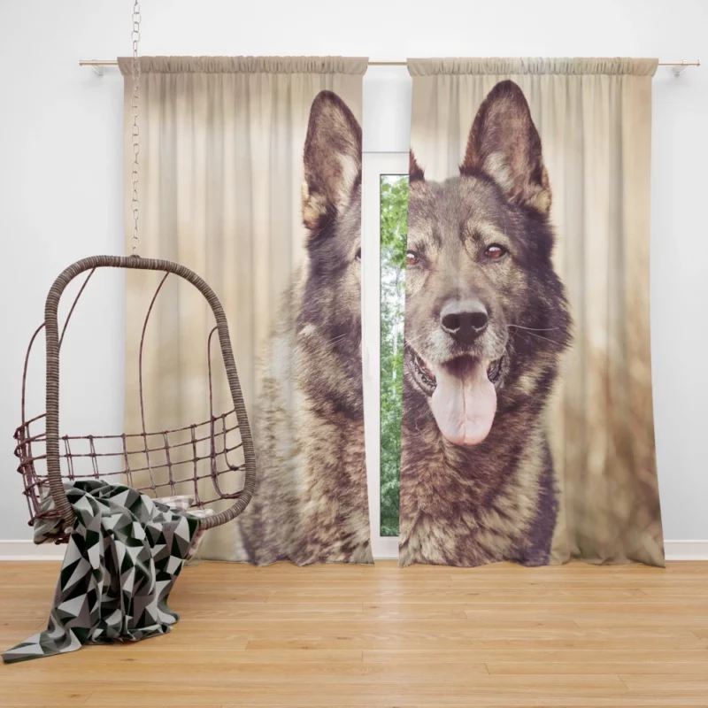 Wolfdog Loyal Stance Canine Companion Curtain