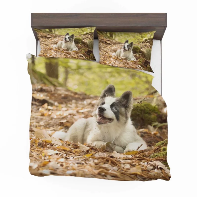 Yakutian Laika Muzzle Moments Canine Grace Bedding Set 1