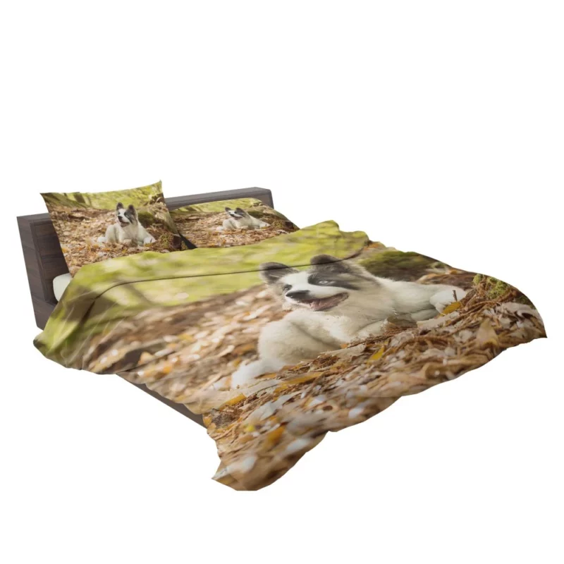 Yakutian Laika Muzzle Moments Canine Grace Bedding Set 2