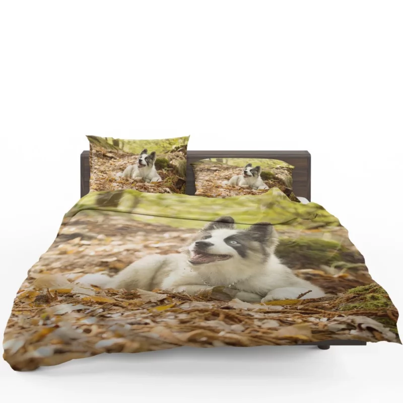 Yakutian Laika Muzzle Moments Canine Grace Bedding Set