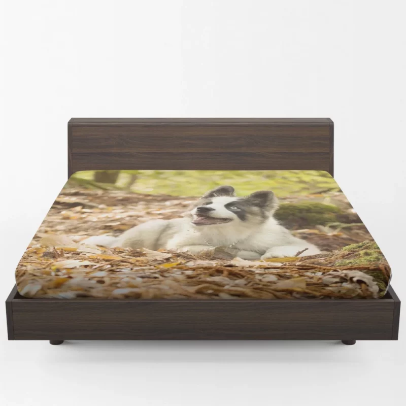 Yakutian Laika Muzzle Moments Canine Grace Fitted Sheet