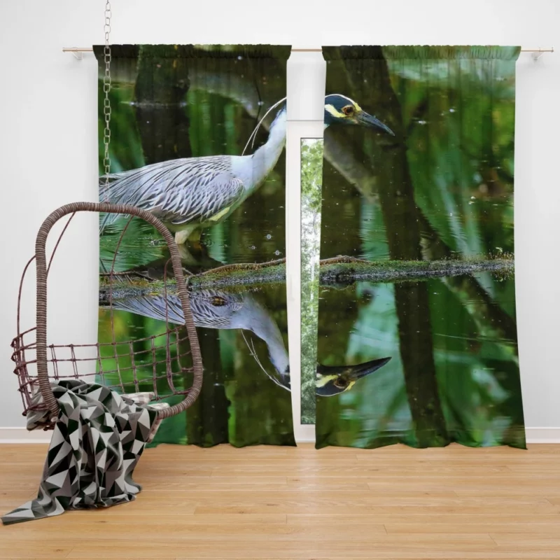 Yellow-Crowned Heron Reflection Waterside Beauty Curtain