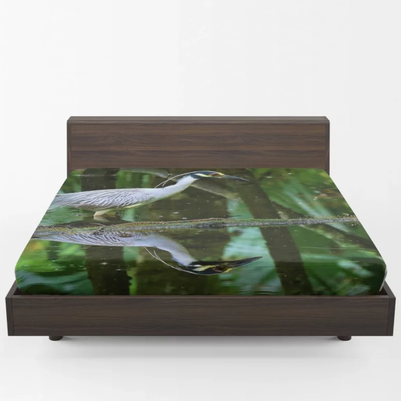 Yellow-Crowned Heron Reflection Waterside Beauty Fitted Sheet