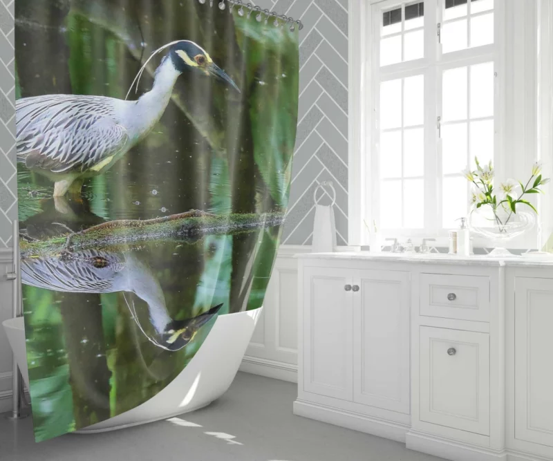 Yellow-Crowned Heron Reflection Waterside Beauty Shower Curtain 1