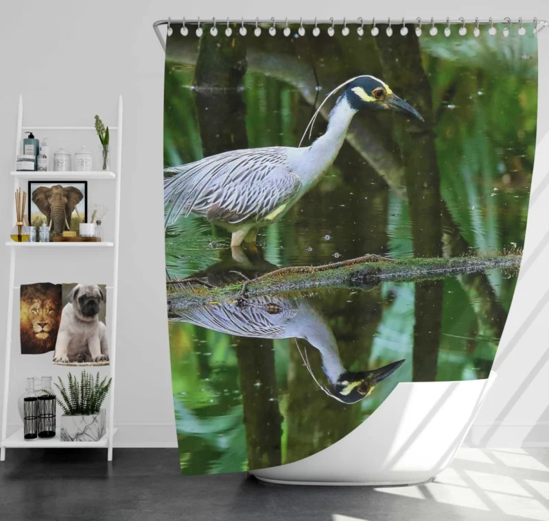 Yellow-Crowned Heron Reflection Waterside Beauty Shower Curtain