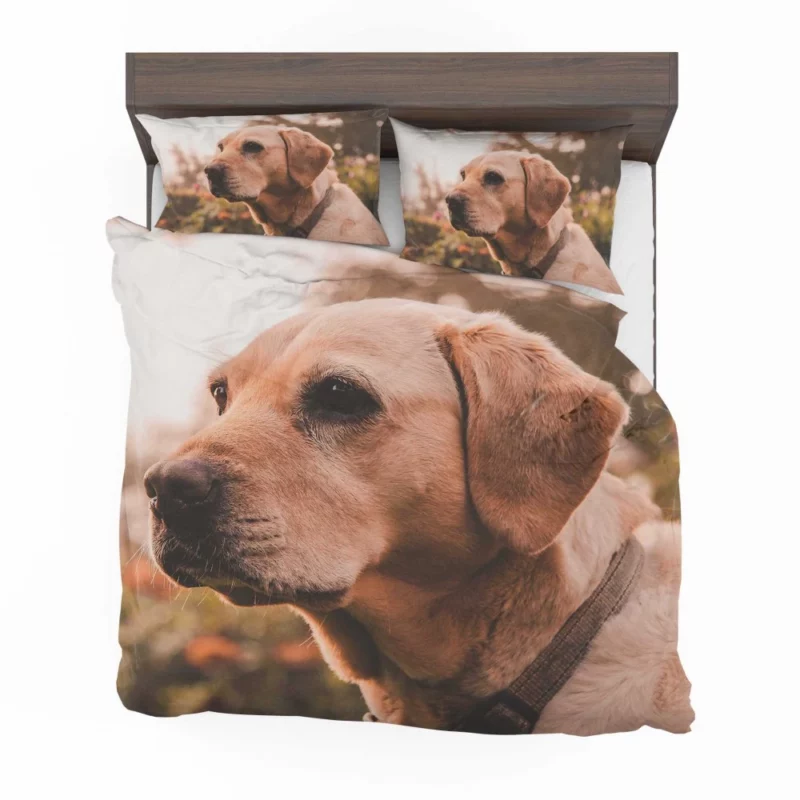 Yellow Labrador Serene Sit Bedding Set 1