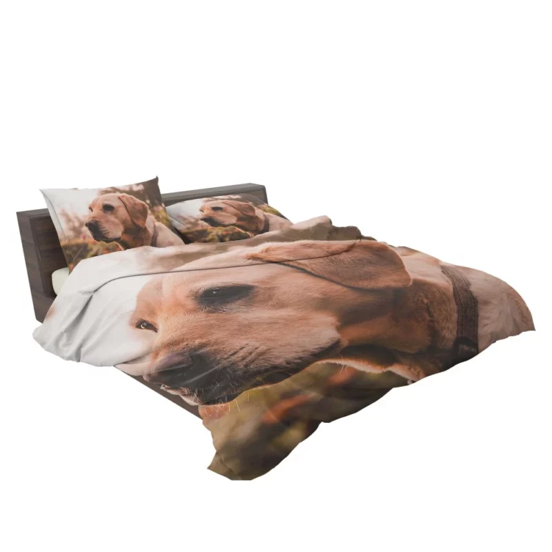 Yellow Labrador Serene Sit Bedding Set 2