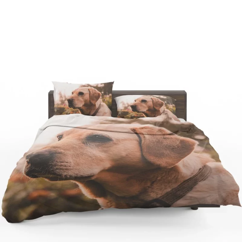 Yellow Labrador Serene Sit Bedding Set