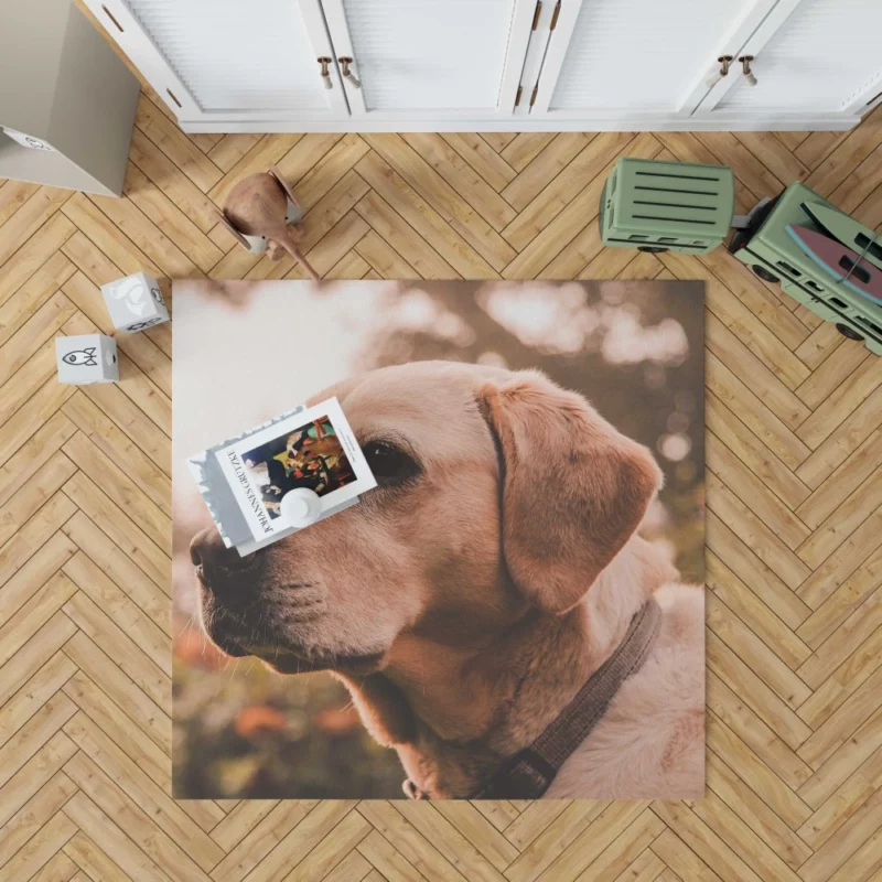 Yellow Labrador Serene Sit Rug