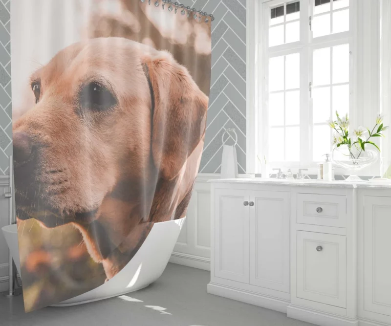 Yellow Labrador Serene Sit Shower Curtain 1