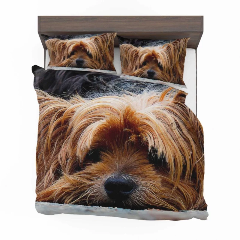 Yorkshire Terrier Adorable Charm Bedding Set 1