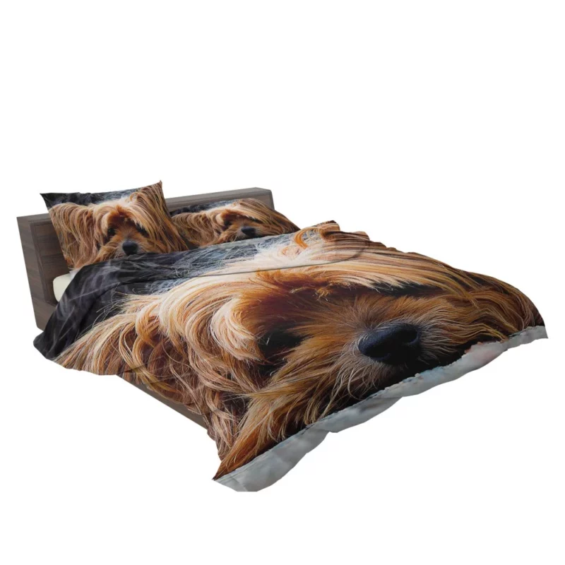 Yorkshire Terrier Adorable Charm Bedding Set 2