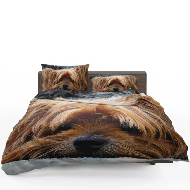 Yorkshire Terrier Adorable Charm Bedding Set