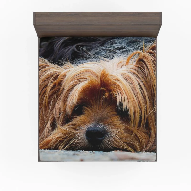 Yorkshire Terrier Adorable Charm Fitted Sheet 1