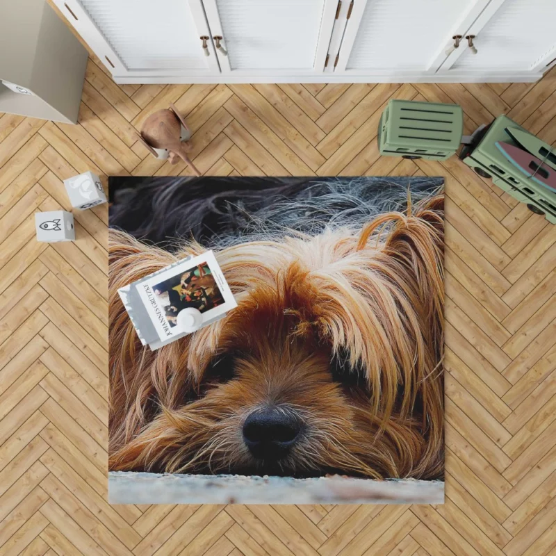 Yorkshire Terrier Adorable Charm Rug