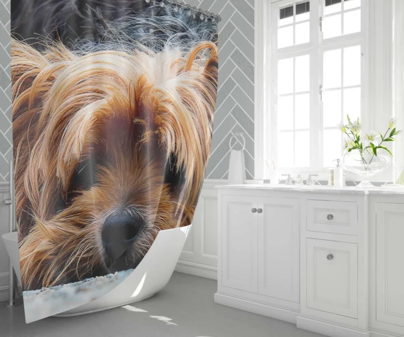 Yorkshire Terrier Adorable Charm Shower Curtain 1