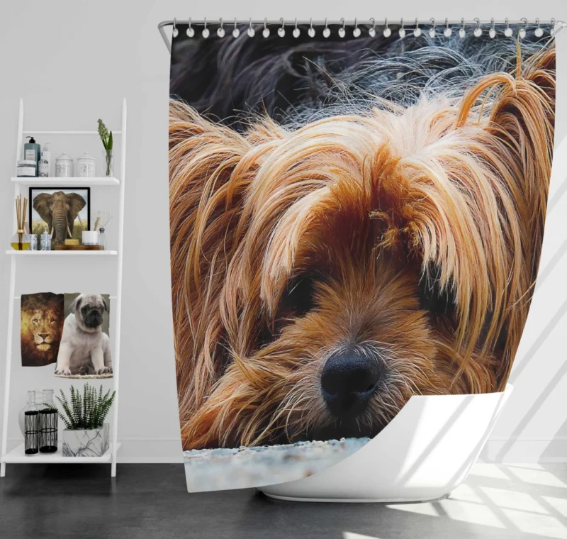 Yorkshire Terrier Adorable Charm Shower Curtain