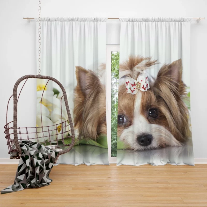 Yorkshire Terrier Amidst Tulips Floral Play Curtain