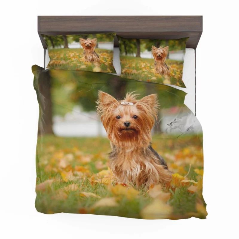 Yorkshire Terrier Captivating Gaze Furry Wonder Bedding Set 1