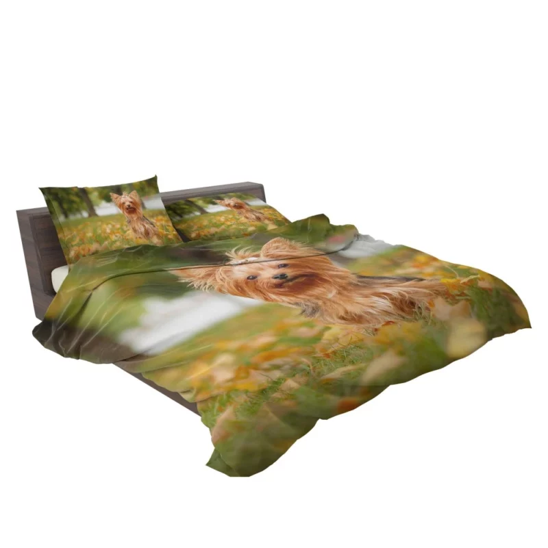 Yorkshire Terrier Captivating Gaze Furry Wonder Bedding Set 2