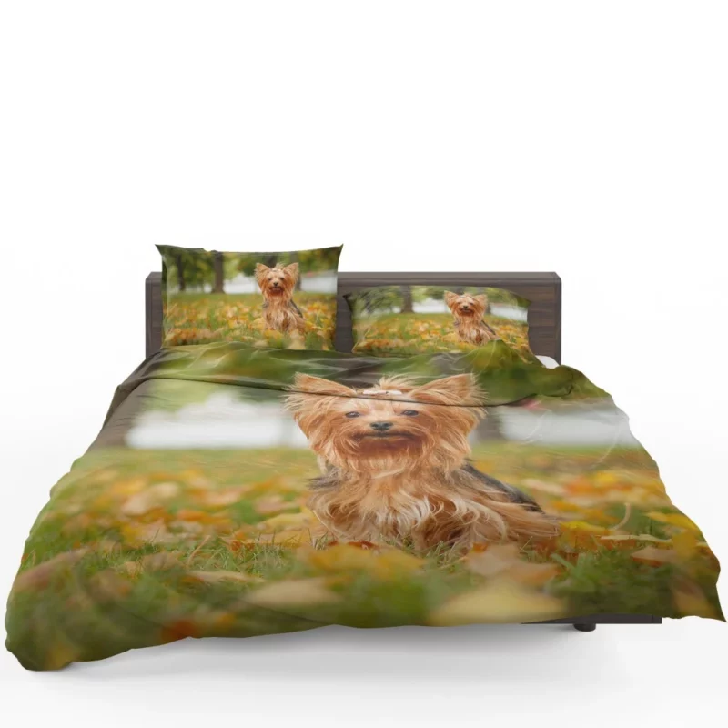 Yorkshire Terrier Captivating Gaze Furry Wonder Bedding Set