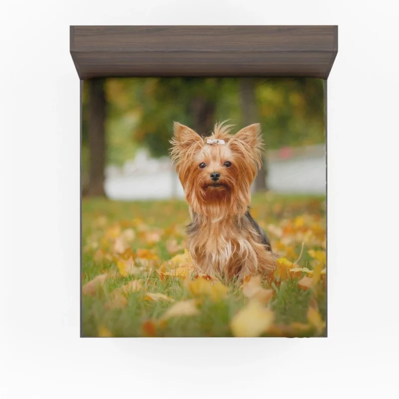 Yorkshire Terrier Captivating Gaze Furry Wonder Fitted Sheet 1