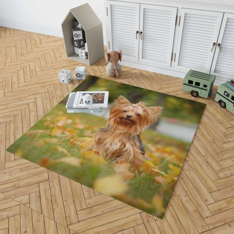 Yorkshire Terrier Captivating Gaze Furry Wonder Rug 1