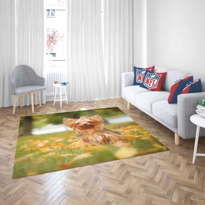 Yorkshire Terrier Captivating Gaze Furry Wonder Rug 2