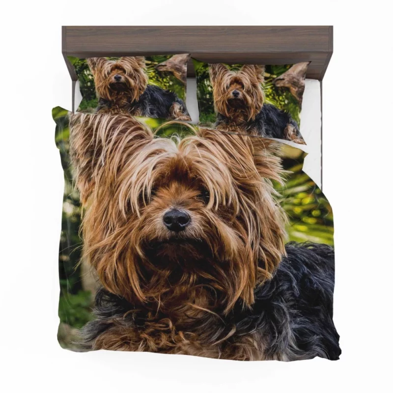 Yorkshire Terrier Petite Charm Bedding Set 1