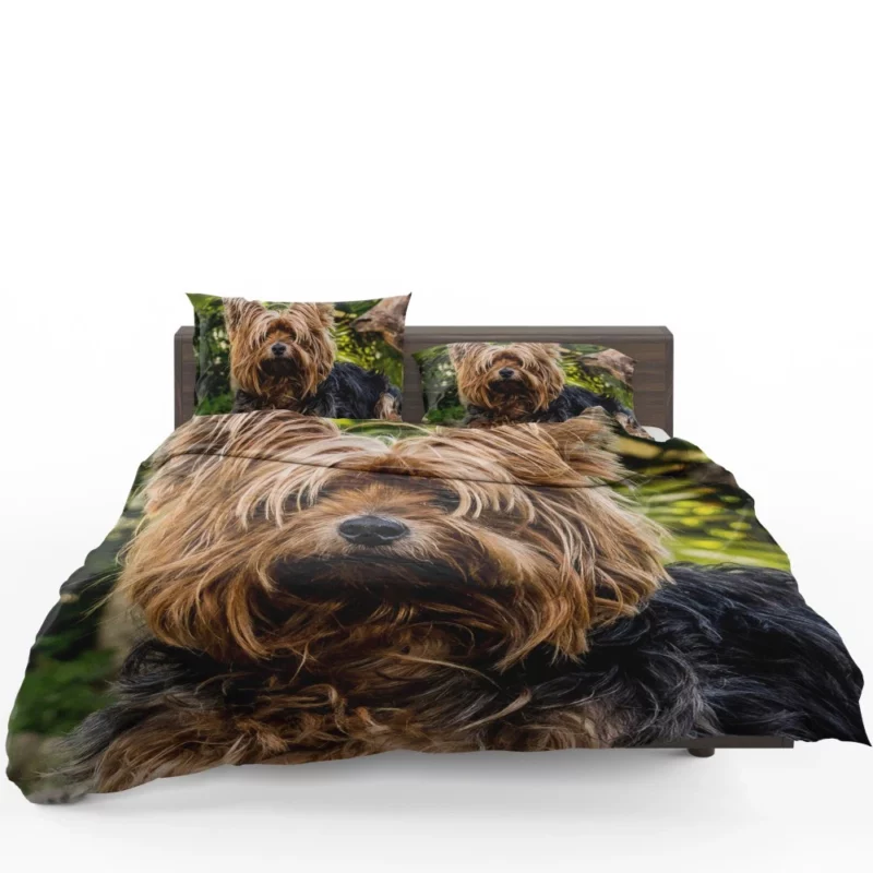 Yorkshire Terrier Petite Charm Bedding Set