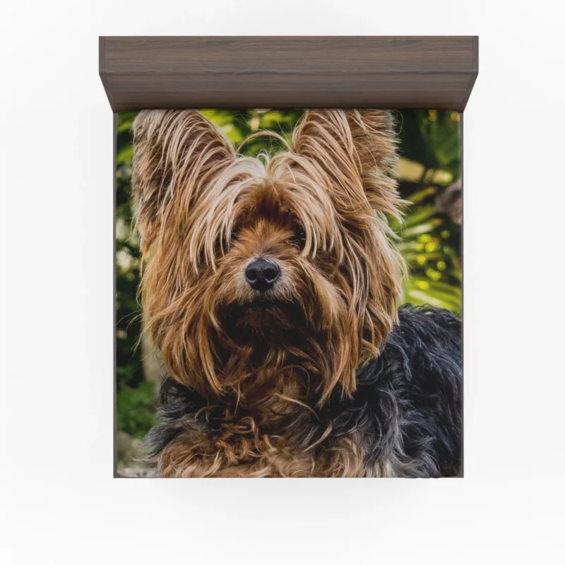 Yorkshire Terrier Petite Charm Fitted Sheet 1