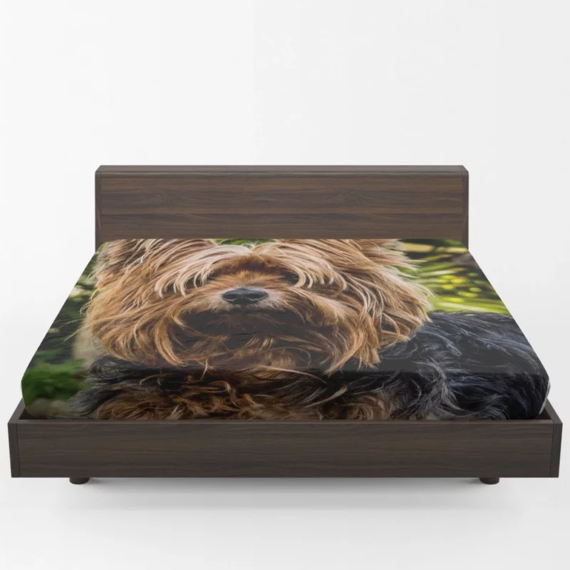 Yorkshire Terrier Petite Charm Fitted Sheet