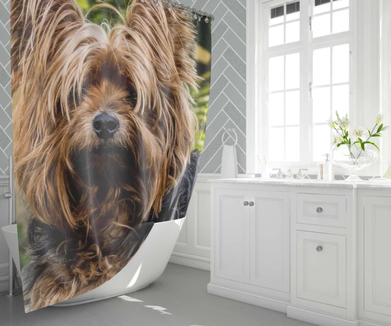 Yorkshire Terrier Petite Charm Shower Curtain 1