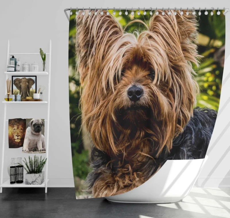 Yorkshire Terrier Petite Charm Shower Curtain