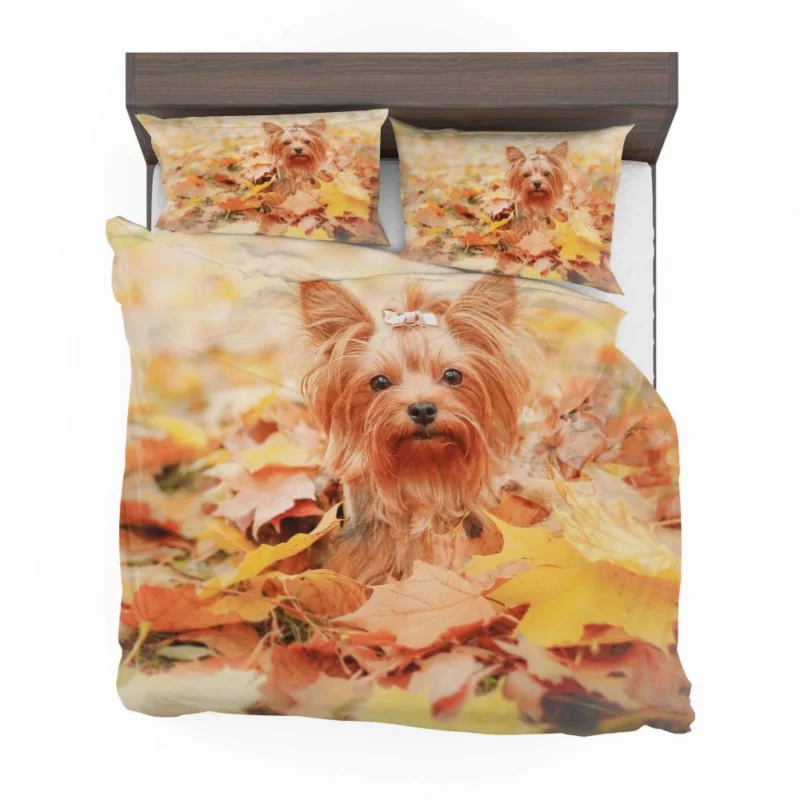 Yorkshire Terrier in Fall Autumn Elegance Bedding Set 1