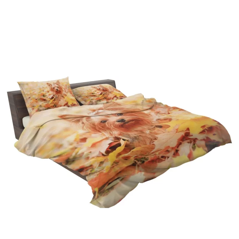 Yorkshire Terrier in Fall Autumn Elegance Bedding Set 2