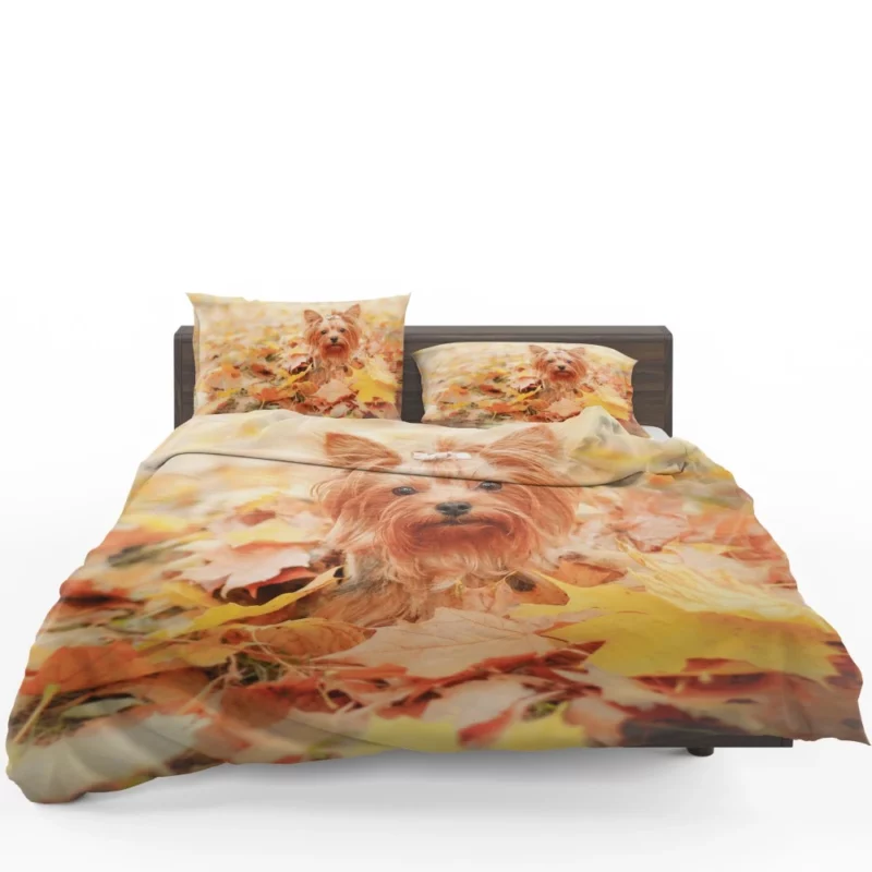 Yorkshire Terrier in Fall Autumn Elegance Bedding Set