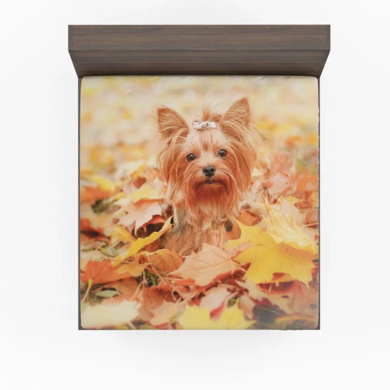 Yorkshire Terrier in Fall Autumn Elegance Fitted Sheet 1