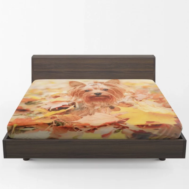 Yorkshire Terrier in Fall Autumn Elegance Fitted Sheet