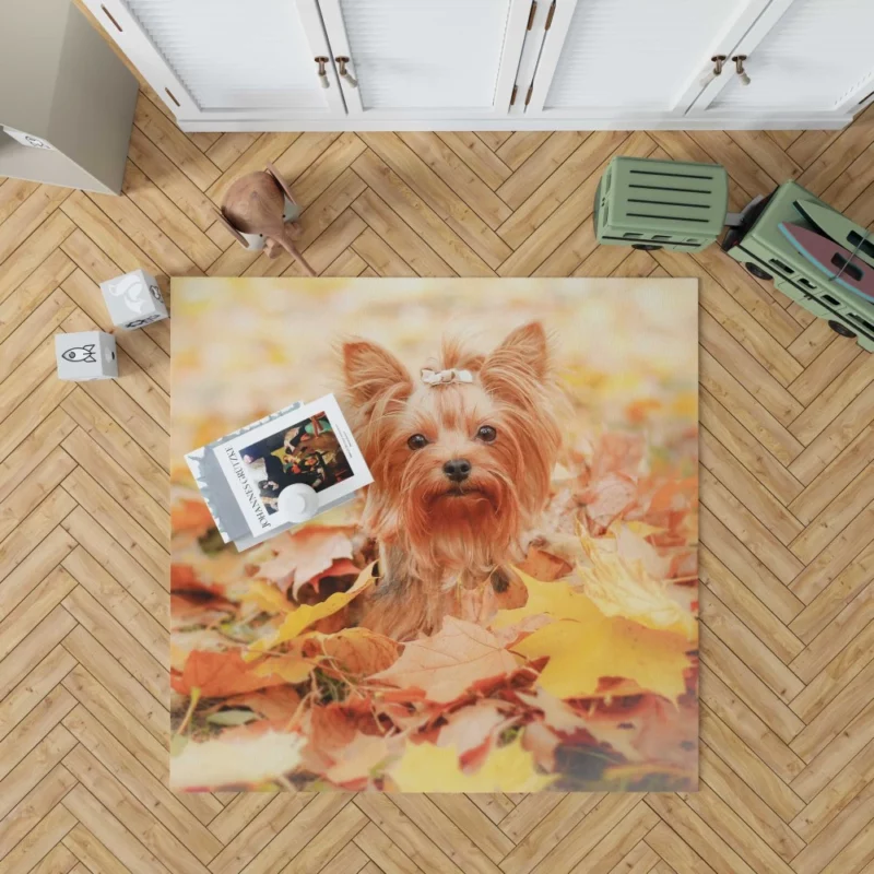 Yorkshire Terrier in Fall Autumn Elegance Rug