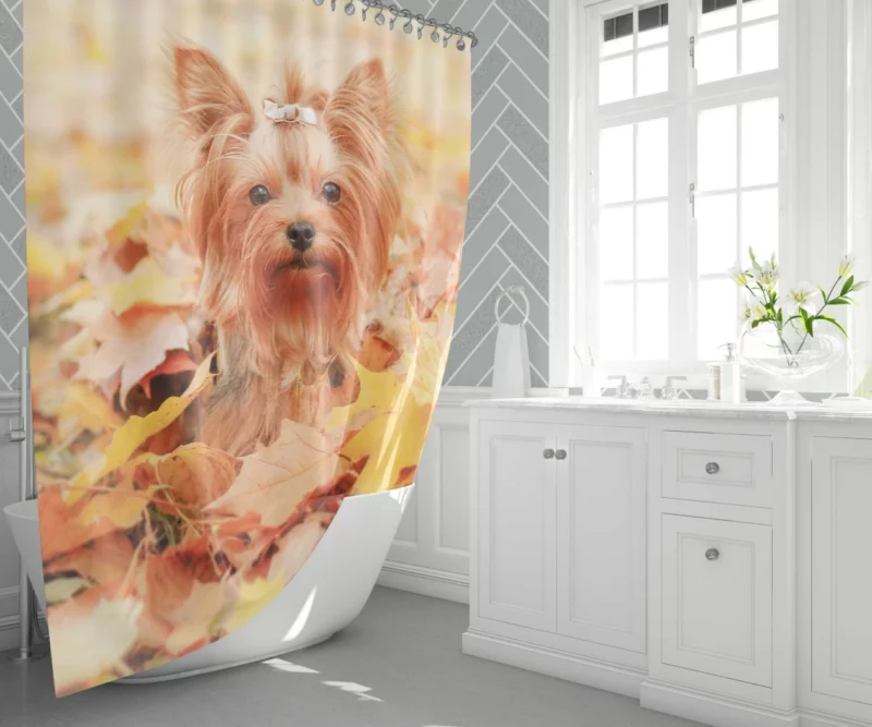 Yorkshire Terrier in Fall Autumn Elegance Shower Curtain 1