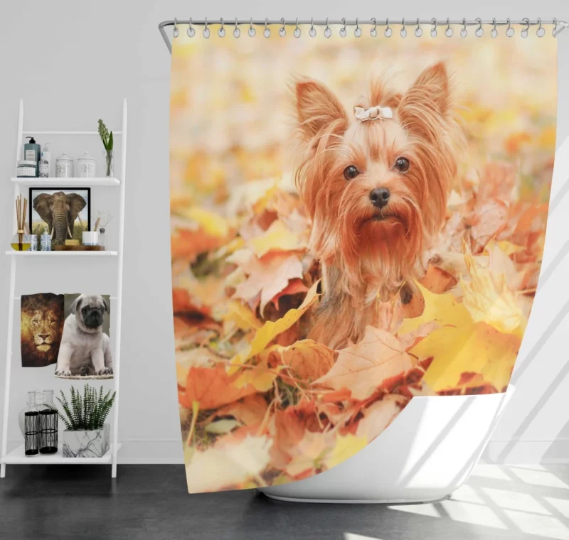 Yorkshire Terrier in Fall Autumn Elegance Shower Curtain