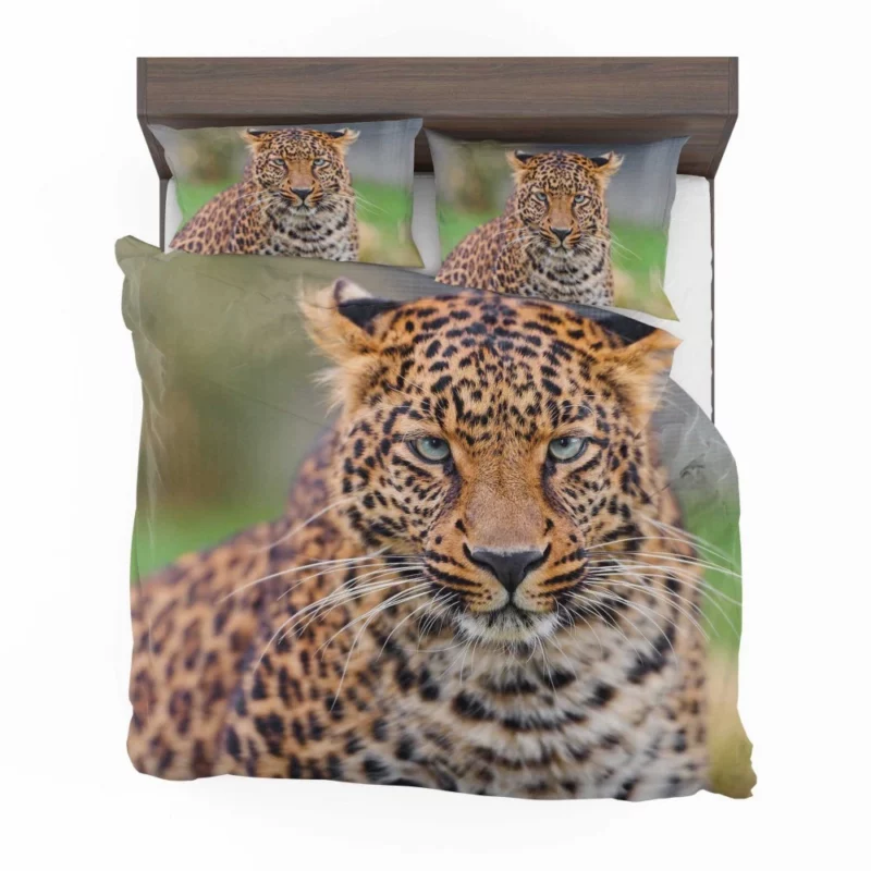 Young Leopard Playful Wilderness Bedding Set 1