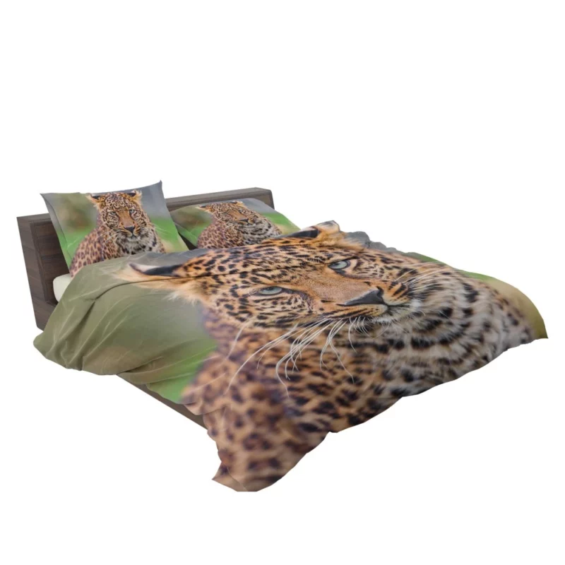 Young Leopard Playful Wilderness Bedding Set 2