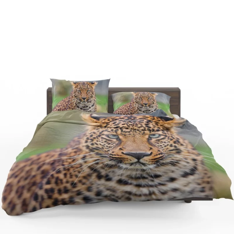 Young Leopard Playful Wilderness Bedding Set