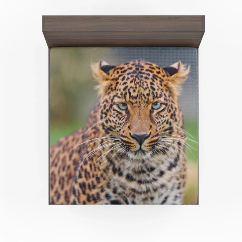 Young Leopard Playful Wilderness Fitted Sheet 1