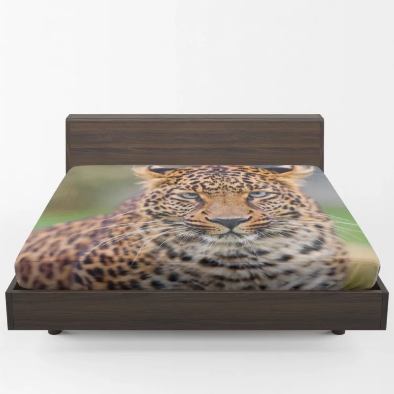 Young Leopard Playful Wilderness Fitted Sheet