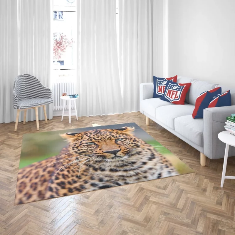 Young Leopard Playful Wilderness Rug 2