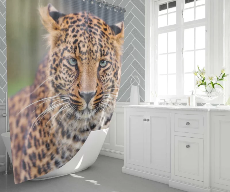 Young Leopard Playful Wilderness Shower Curtain 1